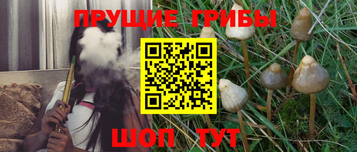 Галлюциногенные грибы мицелий  Вход с VPN  Псилоцибиновые грибы Cubensis  Шатура 