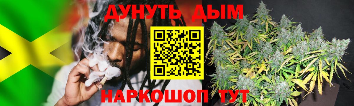 Конопля индика Шатура
